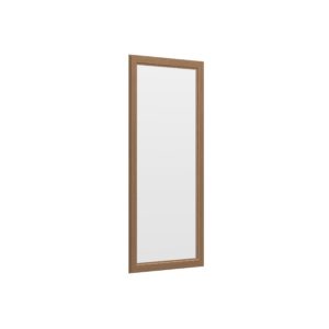 Glass Door for Wall Cabinet
