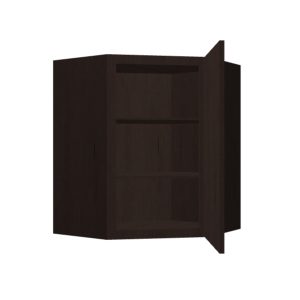 Wall Diagonal Corner Cabinet