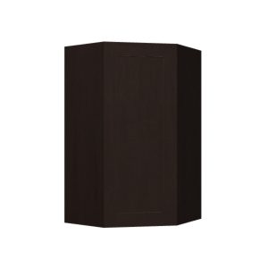 Wall Diagonal Corner Cabinet